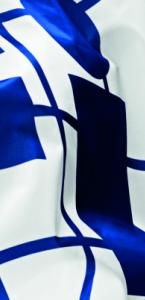Fédération Internationale de l'Automobile cover image