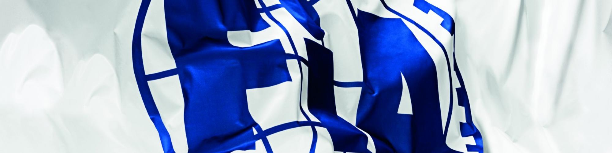 Fédération Internationale de l'Automobile cover image